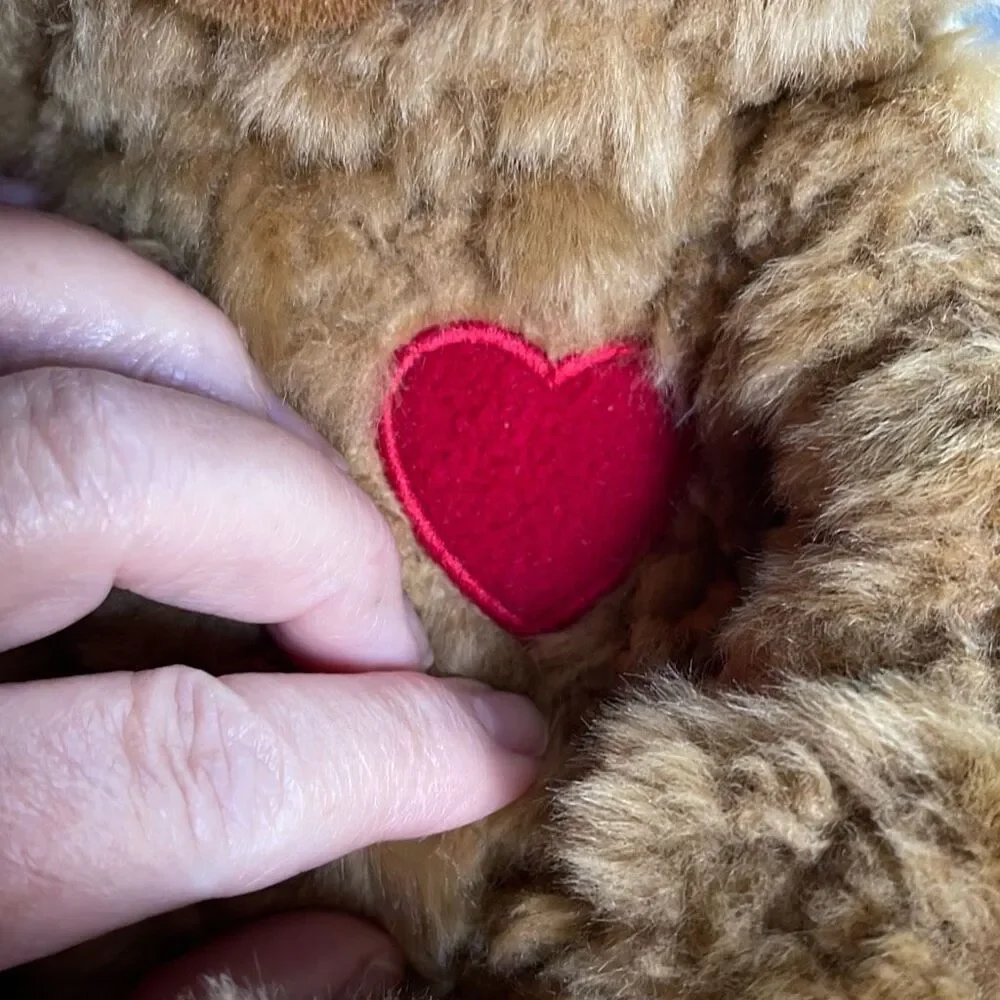 10” DGE plush curly haired Teddy bear with red heart.